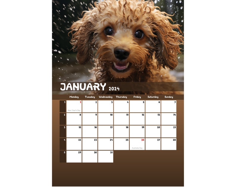 2024 Poodle Calendar Printable Australia Etsy
