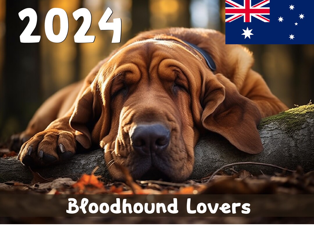 2024 Bloodhound Lovers Calendar Printable Australia Etsy