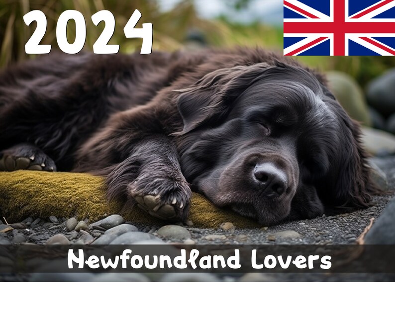 2024 Newfoundland Lovers Calendar Printable United Kingdom Etsy