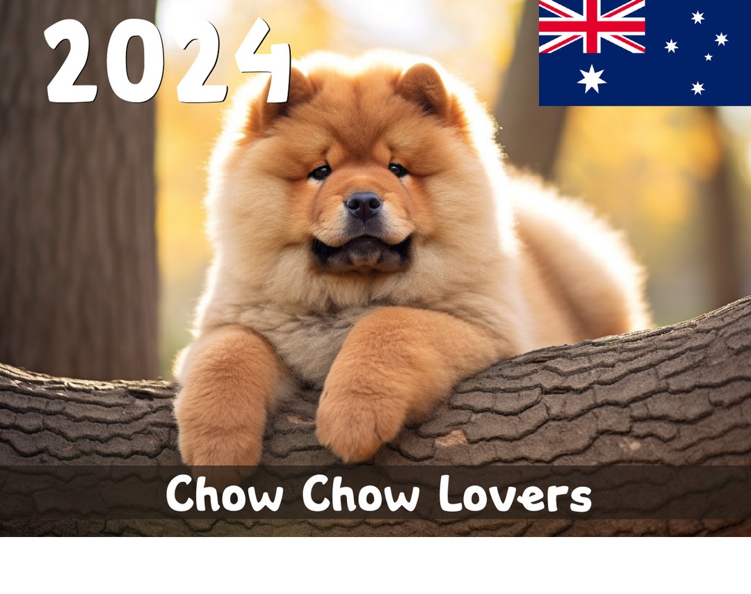 2025 Chow Chow Lovers Calendar Printable Australia Etsy