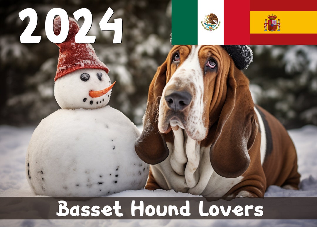 2024 Basset Hound Calendar Printable Spanish Etsy