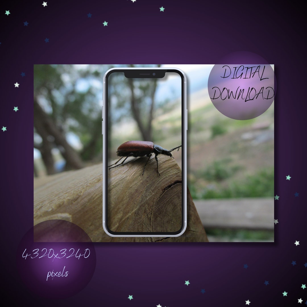 Phone Insect Wallpapers Phone Wallpaper 4K Android Wallpaper iPhone Wallpaper Insect - Etsy