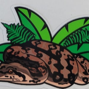 Dumeril&#39;s Boa Snake Sticker Lumin