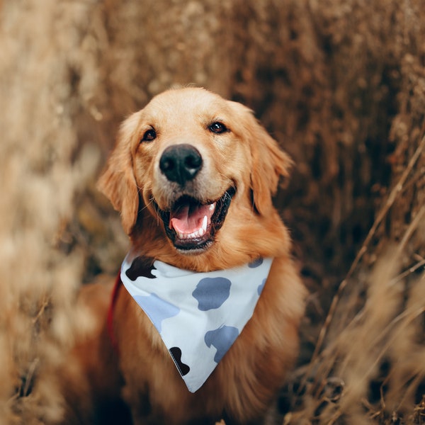 Pet Bandana Sewing Pattern, Reversible, Beginner Friendly, Fun and Unique, Affordable, Perfect for Park, Vet, or Photo Shoot, Cat, Dog, Gift