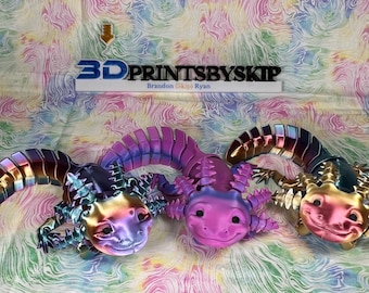 Axolotl, salamandra, acquatica, articolata, colorata