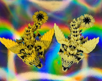 Drago Girasole, Drago, Articolato