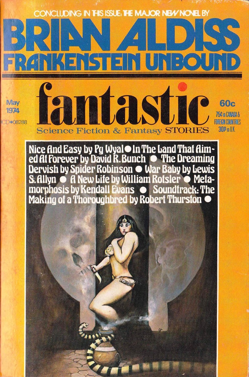 Fantastisches Magazin, Vintage Pulp Science Fiction, Fantasy, komplette Sammlung, digital herunterladbares Magazin Bild 5