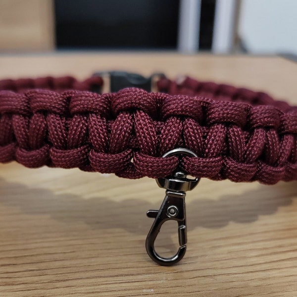 Collier pour chien bordeau