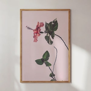 Hibiscus Aesthetic Poster, Floral Print, Flower Posters, Botanical Wall Art, Pink Hibiscus Plant, Aesthetic Posters, Watercolor Hibiscus,