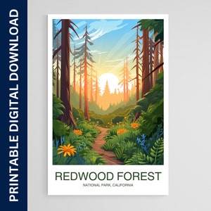 Redwood Forest Park Poster, California Print, Wall Art, Gift, Home Decor, Travel, Printable Wall Art, Digital Download