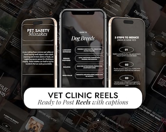 Vet Clinic Reels Videos | Pets Dogs Cats Instagram Posts | Veterinarian Templates | Pets Reels | Veterinary Social Media | Pets Posts
