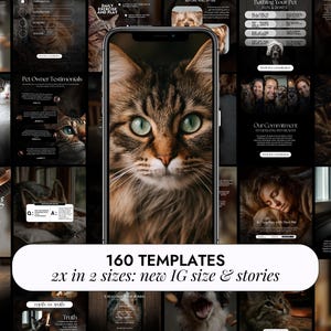 Op de afbeelding: Een digitale presentatie met sjablonen voor sociale media met huisdierthema's. De centrale afbeelding is een close-up van het gezicht van een kat met groene ogen. Tekst op het scherm luidt "160 TEMPLATES" en "2x in 2 maten: nieuwe IG-grootte & verhalen."
