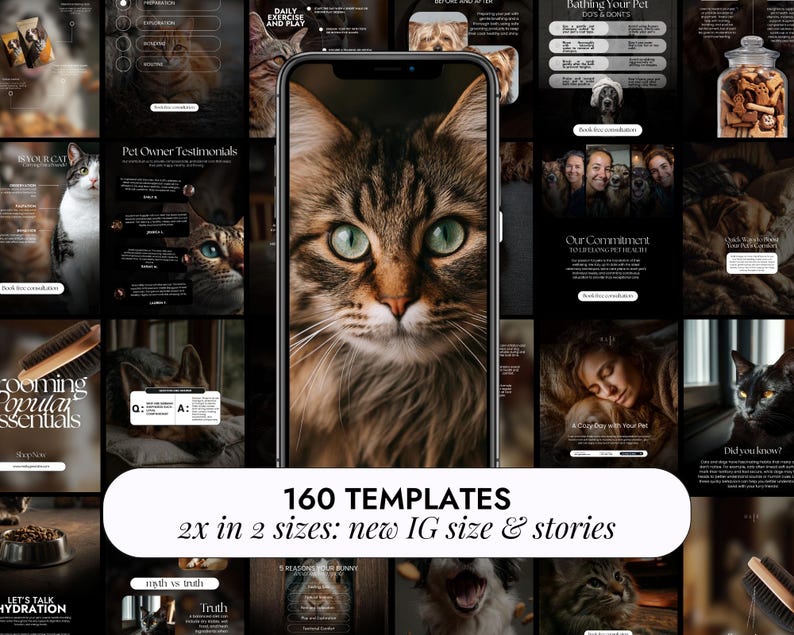 Op de afbeelding: Een digitale presentatie met sjablonen voor sociale media met huisdierthema's. De centrale afbeelding is een close-up van het gezicht van een kat met groene ogen. Tekst op het scherm luidt "160 TEMPLATES" en "2x in 2 maten: nieuwe IG-grootte & verhalen."