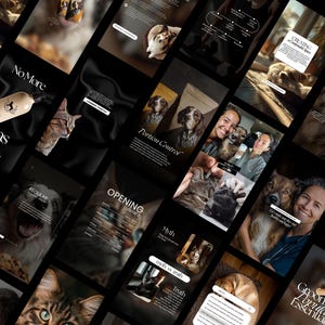 Op de afbeelding: Een collage van afbeeldingen met een zwarte achtergrond, met huisdieren en huisdierverzorgingsproducten. De afbeeldingen bevatten katten, honden en tekst zoals "No More Fleas", "Portion Control" en "Grooming Essentials".