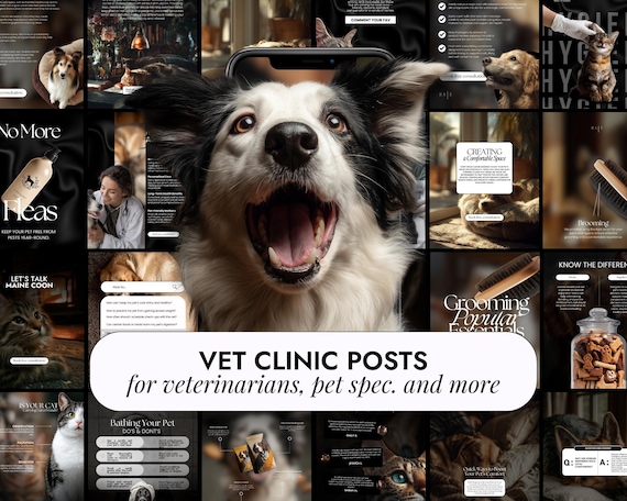 Vet Clinic Instagram Templates | Dog Cat Care Social Media Posts | Veterinarian Clinic Instagram | Pet Store Marketing | Pet Business Canva