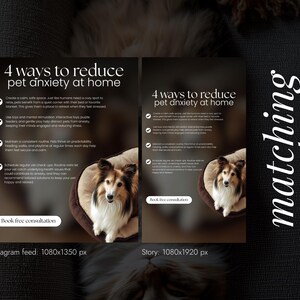 Op de afbeelding: Een advertentie met de tekst "4 manieren om angst bij huisdieren thuis te verminderen" met een hond in een bed. De advertentie bevat opsommingstekens met tips en een oproep tot actie om een gratis consult te boeken. De achtergrond is donker.