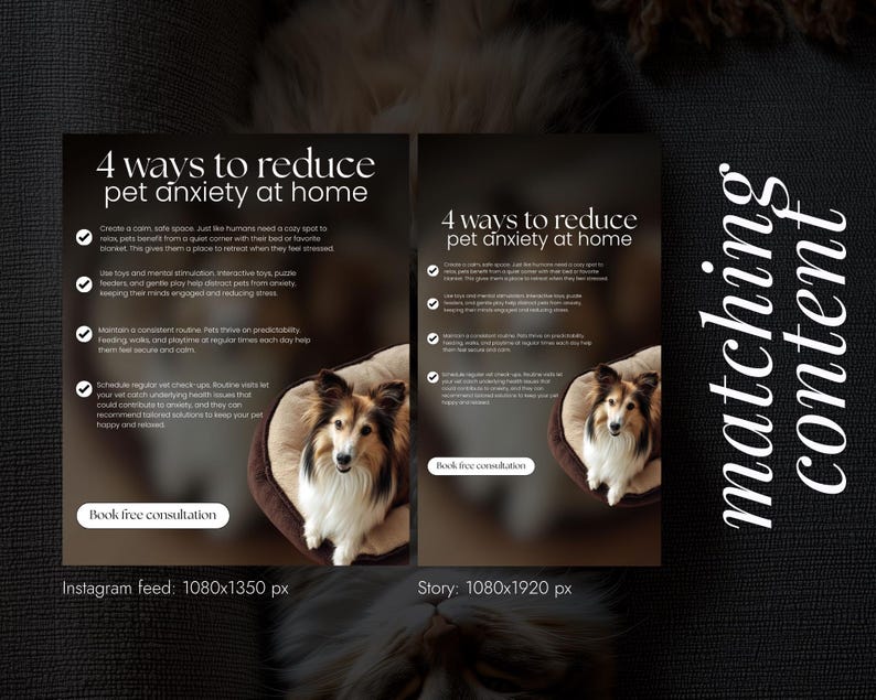 Op de afbeelding: Een advertentie met de tekst "4 manieren om angst bij huisdieren thuis te verminderen" met een hond in een bed. De advertentie bevat opsommingstekens met tips en een oproep tot actie om een gratis consult te boeken. De achtergrond is donker.