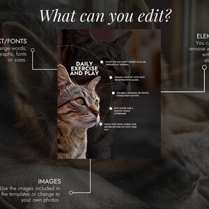 Op de afbeelding: Een digitale afbeelding met een kattenafbeelding en tekst. De tekst bevat "What can you edit?" en instructies voor het bewerken van tekst, elementen en afbeeldingen. De afbeelding bevat ook tips voor dagelijkse beweging en spel.