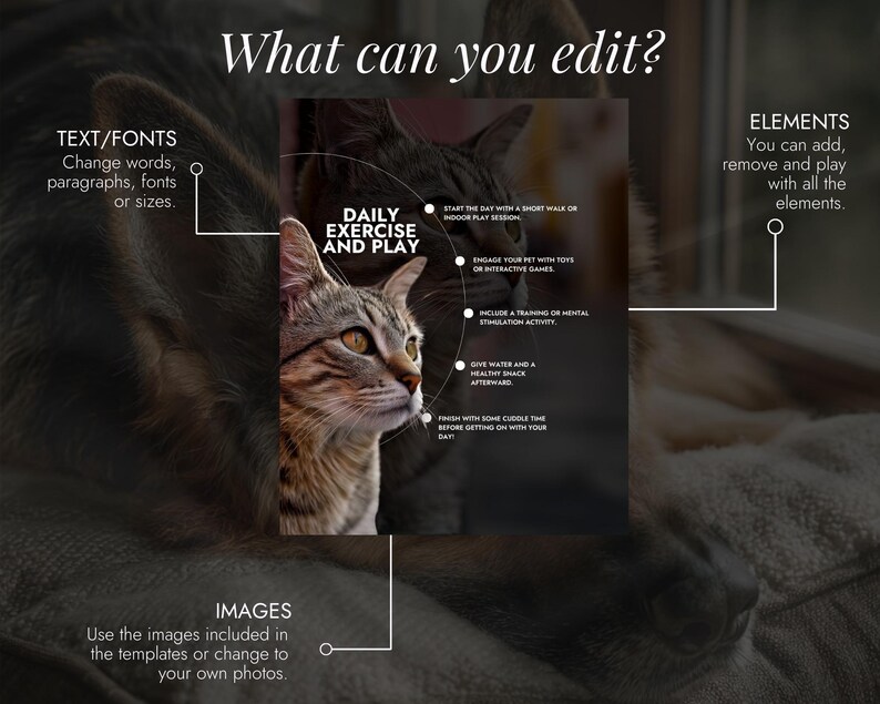 Op de afbeelding: Een digitale afbeelding met een kattenafbeelding en tekst. De tekst bevat "What can you edit?" en instructies voor het bewerken van tekst, elementen en afbeeldingen. De afbeelding bevat ook tips voor dagelijkse beweging en spel.