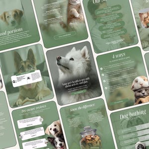 Könnte beinhalten: Eine Sammlung von salbeigrünen Informationskarten mit verschiedenen Hunde- und Katzenrassen, darunter ein Samojede, ein Deutscher Schäferhund und ein Husky. Die Karten enthalten Texte zu Tiergesundheit, Pflege und Wohlbefinden mit Überschriften wie Food portions, 4 ways to reduce stress in pets und Dog bathing.