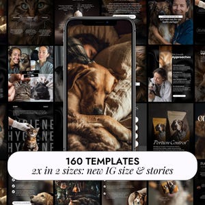 Op de afbeelding: Een verzameling Instagram-sjablonen voor huisdiergerelateerde content. De afbeelding toont een telefoon met een hond en een persoon, omringd door verschillende afbeeldingen van huisdierverzorging en levensstijl. Tekst luidt "160 SJABLONEN 2x in 2 maten: nieuw IG-formaat & verhalen."