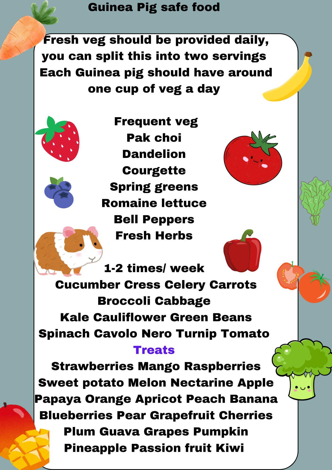 Guinea pig safe foods veggie fruit list