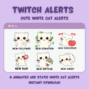Weiße Katzen Twitch ALerts Bundle - GIF und PNG | Perfekt für New Cheer, Donation, Follower, Geschenke, Raid, Abonnenten | 896x896 Pixel