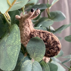 Crochet Pattern for Realistic Garden Snail