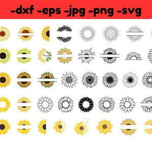 Pacote Girassol 40 SVG para uso comercial Download instantâneo, Flor Svg, Monograma de Girassol, Meio Girassol Svg Arquivo de corte Cricut Silhouette Cameo