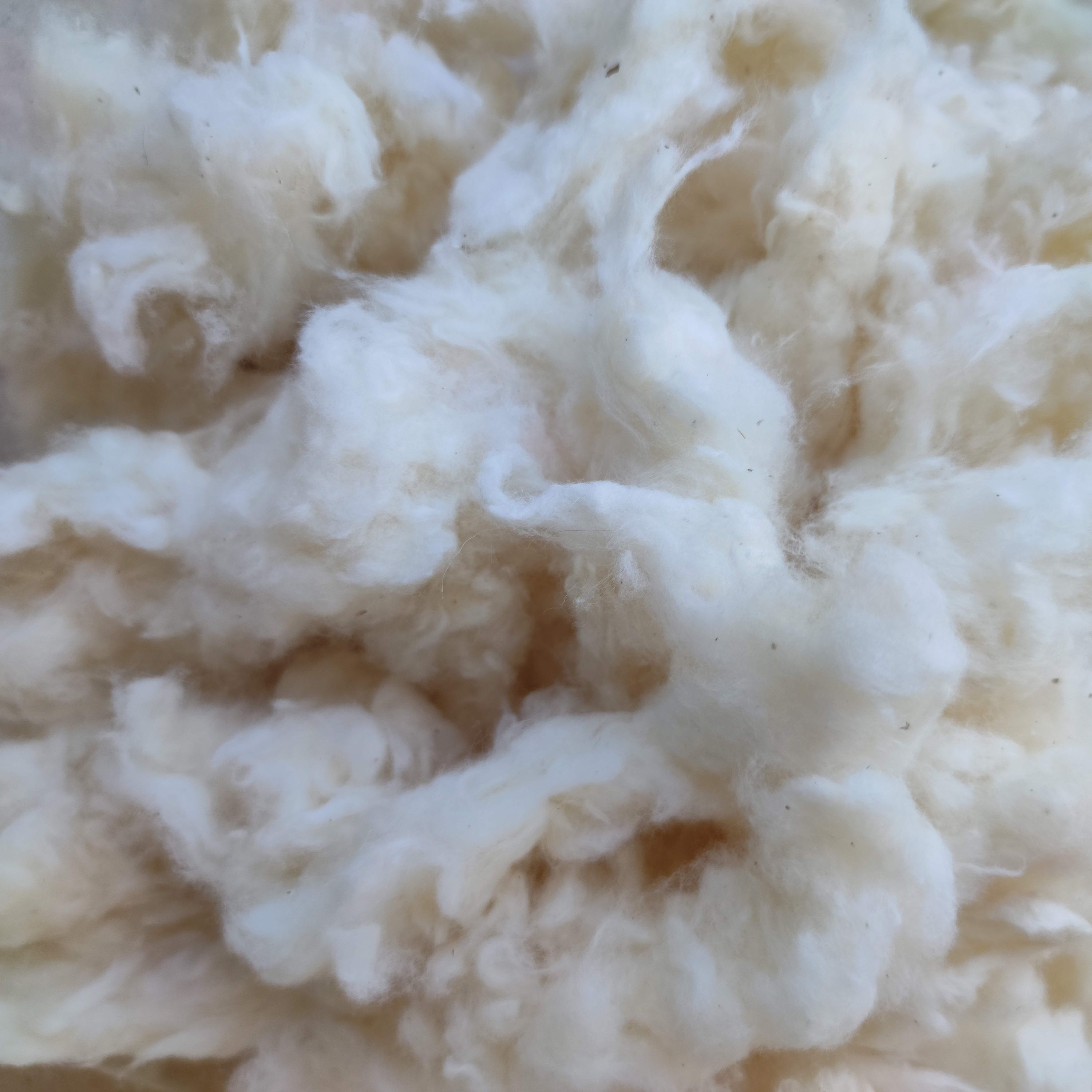  Cotton Stuffing By The Pound - Raw Natural Cotton