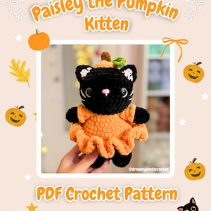 May include: A black crocheted kitten plush toy wearing an orange pumpkin-themed dress with a small pumpkin stem on its head. The text Paisley the Pumpkin Kitten and PDF Crochet Pattern is displayed on the light-colored background with pumpkin icons.