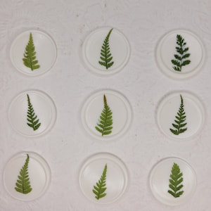 Sello de cera de helecho / sellos de cera autoadhesivos / sello de cera verde / sellos de cera de invitación / invitación de boda / hojas prensadas / boda DIY / licencia