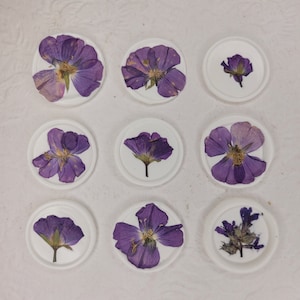 Selo de cera de flores silvestres roxas/selos de cera autoadesivos/convite de casamento/selo de cera de flor/casamento diy/selos de cera de casamento/flor prensada
