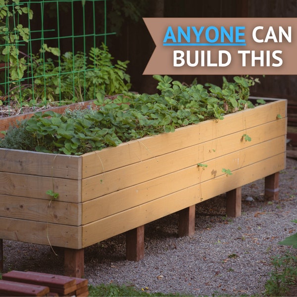 Elevated Garden Bed DIY, A Beginner-friendly Raised Bed With Legs Build Plan