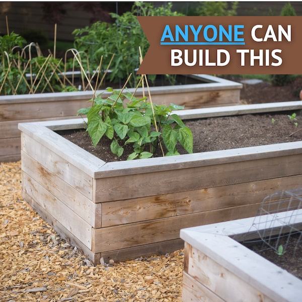 Raised Garden Bed, DIY Beginner's Guide