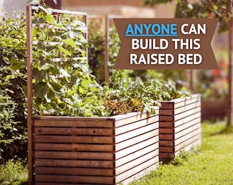 Raised Garden Bed with Trellis DIY, A Beginner-friendly Raised Bed Build Plan