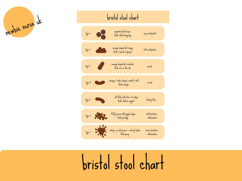 Bristol Stool Chart Nursing Students Notes on Bristol Stool Chart Types