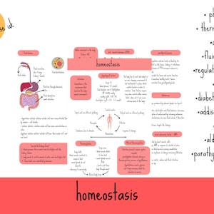 homeostasis explained, homeostasis study guide, nursing notes for student nurses, quick notes on ANP, ADH, addisons, aldosterone and more!