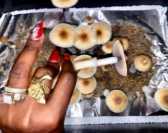 Grow Your Own Magic Mushrooms