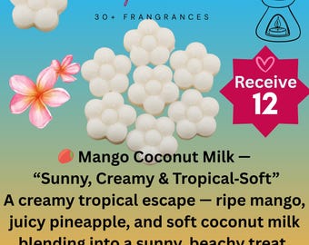 12 Flower Shape Mango Wax Melt Sampler Package •  Home Fragrance, Eco-Friendly • House Warming Gift Bag • Homemade Present • 30 Scents