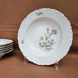 Kahla Porcelain Thuringia Creator Flower Pattern Decorative Plates Set of 6