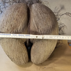 May include: A set of three ceramic mugs with a speckled, matte finish. The mugs are in shades of cream, light gray, and dark gray. Each mug has a simple, minimalist design and a rounded handle. The mugs are likely for coffee or tea.