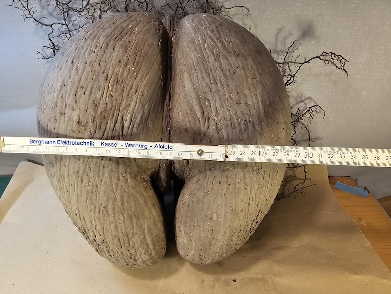 May include: A set of three ceramic mugs with a speckled, matte finish. The mugs are in shades of cream, light gray, and dark gray. Each mug has a simple, minimalist design and a rounded handle. The mugs are likely for coffee or tea.