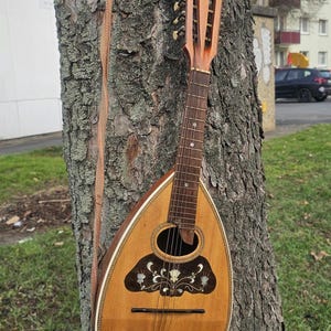 Puede incluir: Mandolina vintage con cuerpo de madera marrón claro y boca decorativa. El instrumento tiene un mástil largo con trastes y un clavijero con clavijas de afinación. Una correa marrón cuelga del instrumento, apoyado en un árbol.