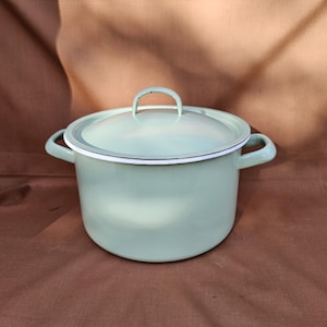 Op de afbeelding: Een lichtgroene emaille kookpot met bijpassende deksel. De pot heeft twee zijhandvatten en een lusgreep op het deksel. Een witte rand accentueert de rand. Op een bruin oppervlak.