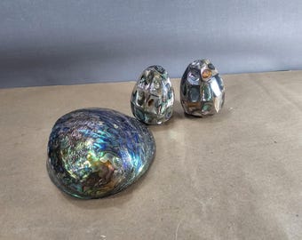 Paua shell - Abalone with 2 eggs