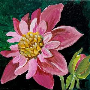 牡丹の花