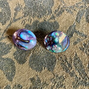 Vintage Mother Of Pearl Earrings