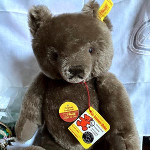 Steiff Mohair Teddy Bear With Original Button And Tags Germany Fully Jointed