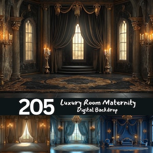Luxury Royal Room Digital Backdrops: Maternity, Wedding (205 JPEG)